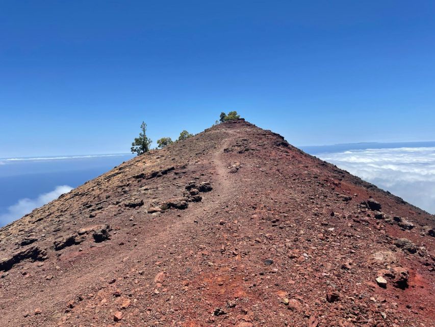 La Palma: Guided trekking tour to volcanoes south - What the $50 price covers