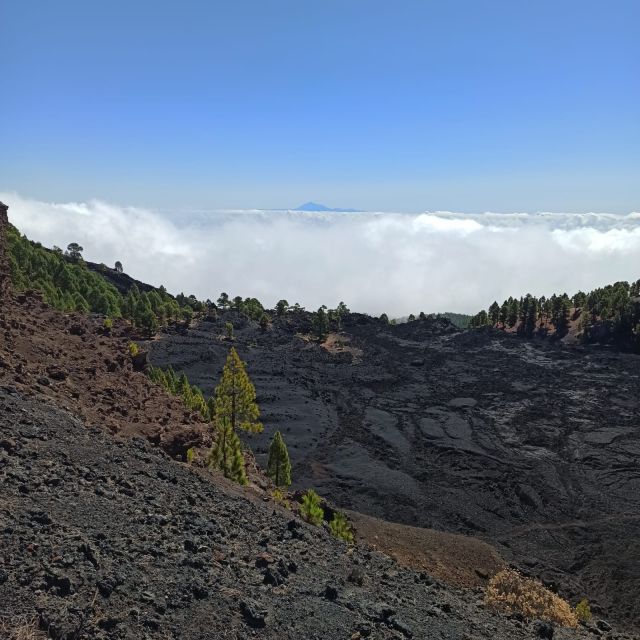 La Palma: Guided trekking tour to volcanoes south - Practical advice for a better day