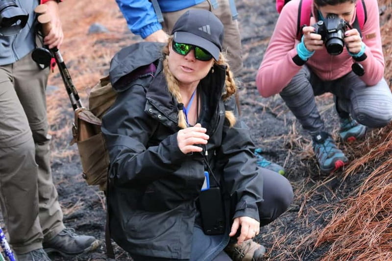 La Palma: Tajogaite Volcano Guided Hike - Lucy’s guiding style and the human story