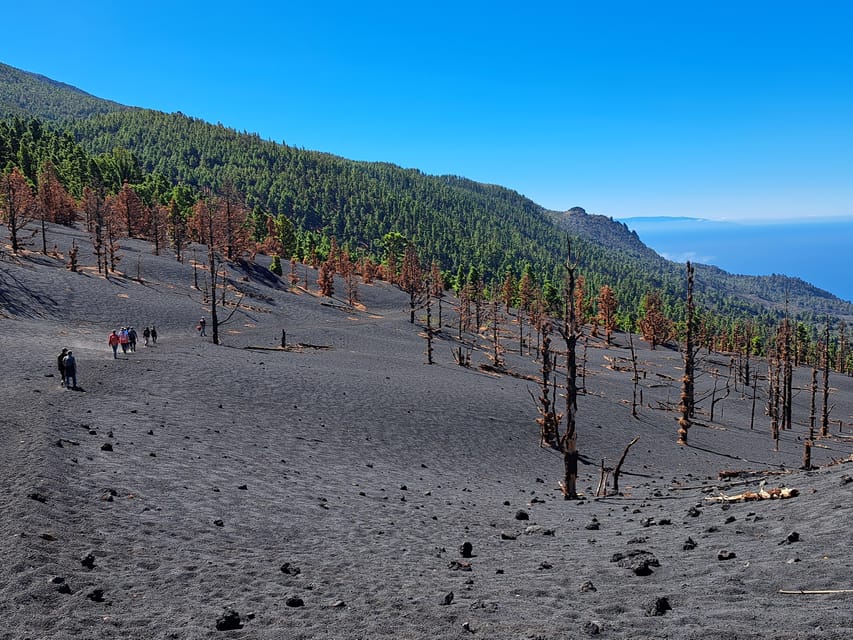 La Palma: Tajogaite Volcano Guided Trek - Key points about the Tajogaite trek