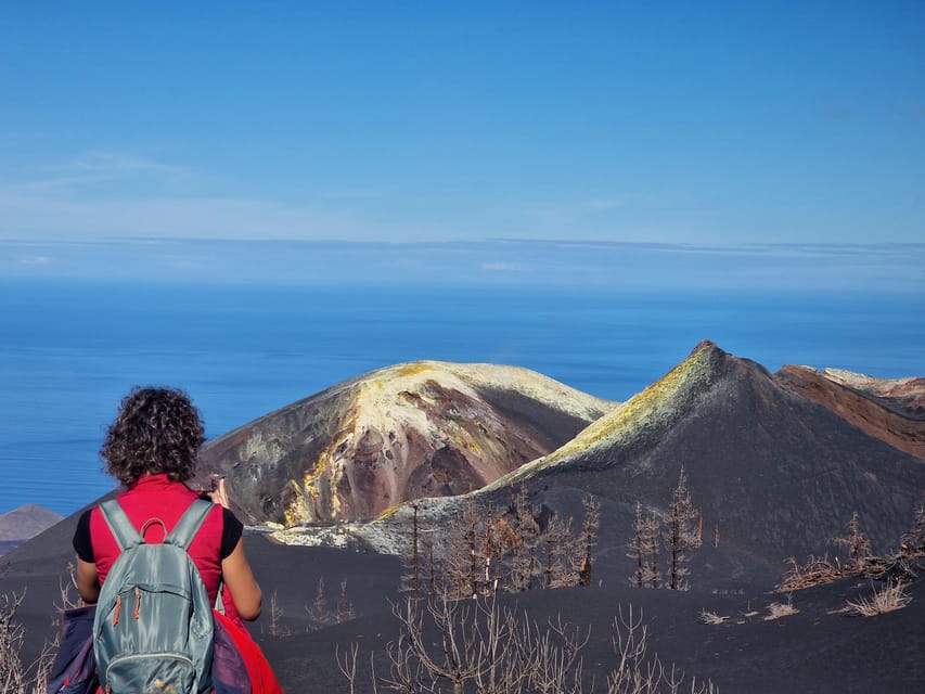 La Palma: Tajogaite Volcano Guided Trek - Why Tajogaite is such a special walk