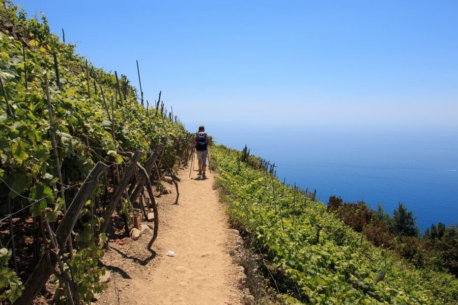 La Spezia: Cinque Terre Guided Hiking Tour - What $94 buys you