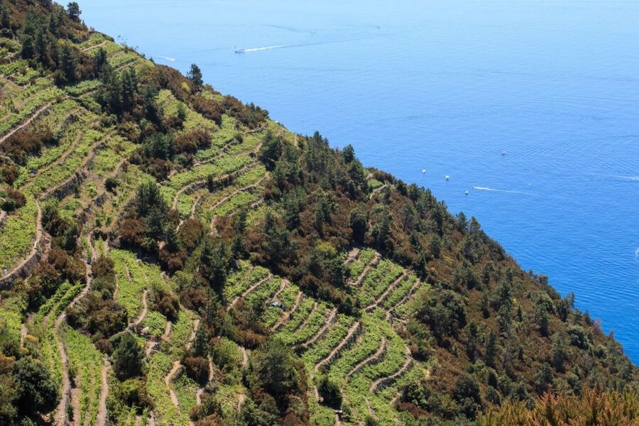 La Spezia: Cinque Terre Guided Hiking Tour - How to prepare for the trail