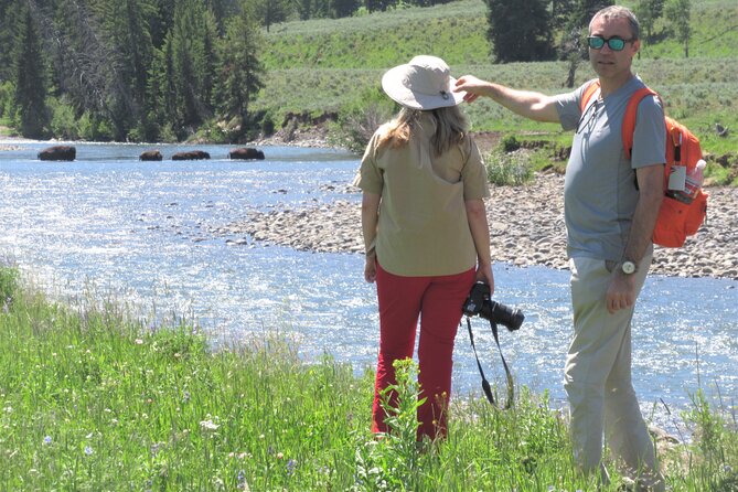 Lamar Valley Safari Hiking Tour with Lunch - Why Lamar Valley works so well for a guided hike