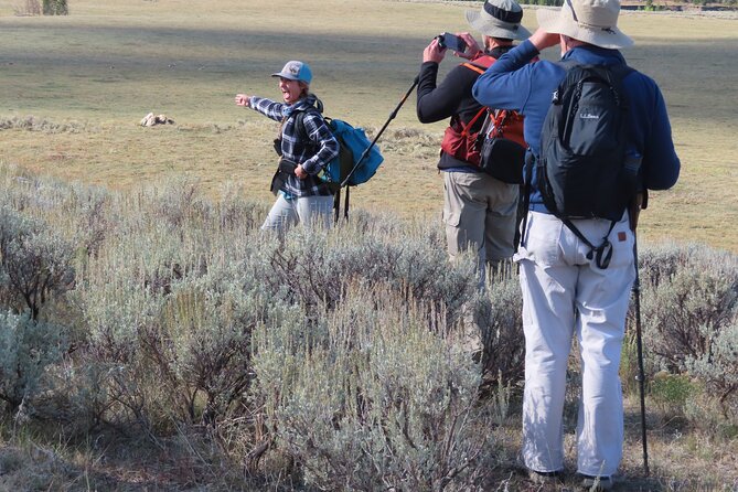 Lamar Valley Safari Hiking Tour with Lunch - The wildlife is the main event