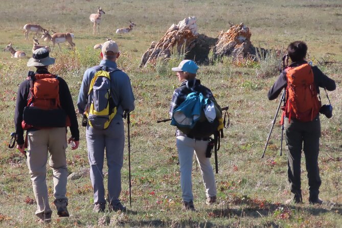 Lamar Valley Safari Hiking Tour with Lunch - Lunch by the river and what is included