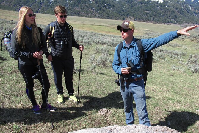 Lamar Valley Safari Hiking Tour with Lunch - Is $182 a fair price?