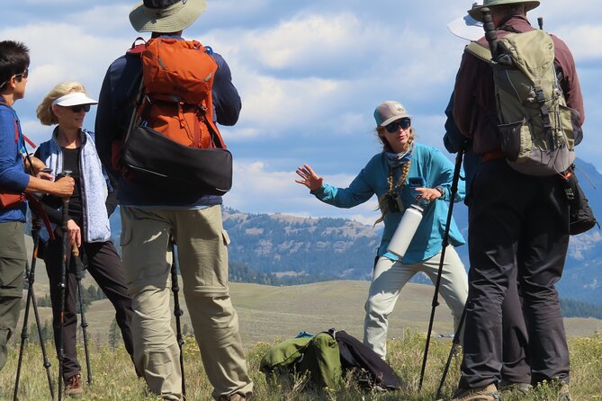 Lamar Valley: Safari Hiking Tour with Lunch - An 8 am start at the Lamar River Trailhead