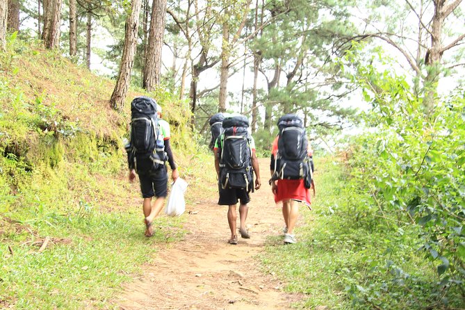 Langbiang Green Trekking Tours - Signature Trekking Da Lat - A full-day climb above Da Lat