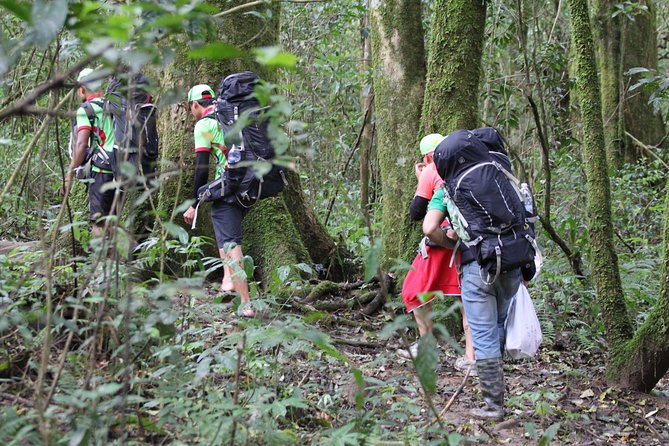Langbiang Green Trekking Tours - Signature Trekking Da Lat - Leaving town in an air-conditioned vehicle