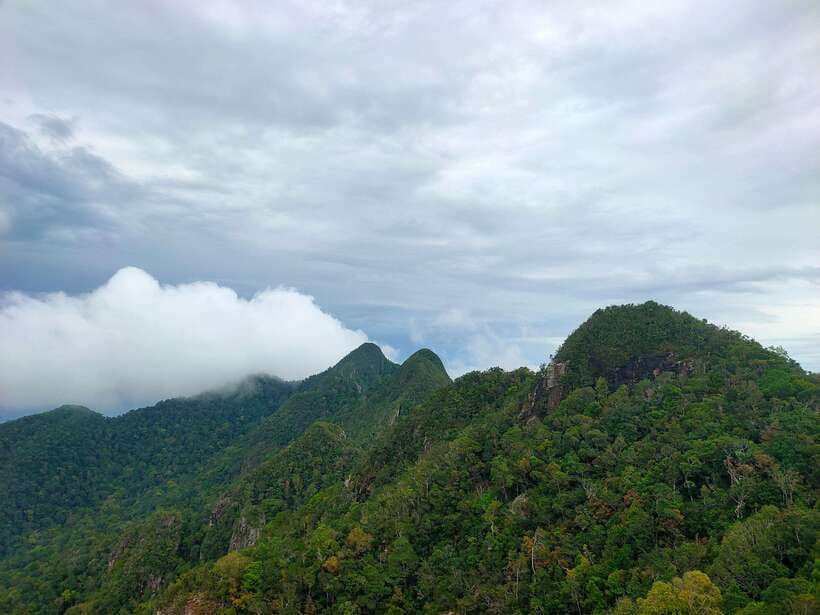 Langkawi SkyTrail Hiking and Cable Car Experience - What the naturalist guide adds