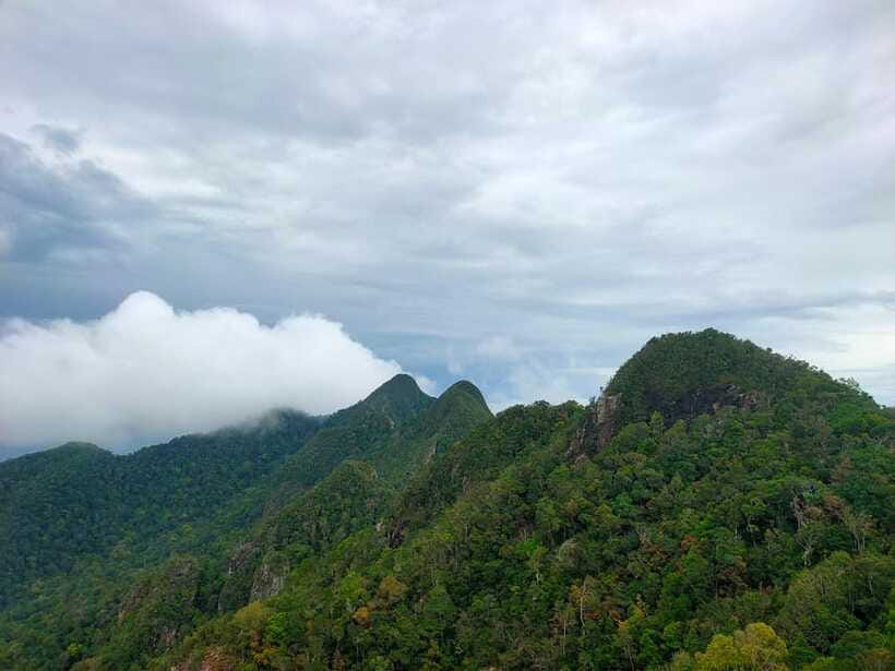 Langkawi SkyTrail Hiking and Cable Car Experience - The SkyCab ride down