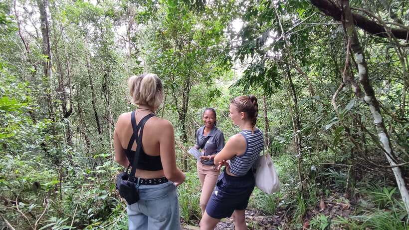 Langkawi SkyTrail Hiking and Cable Car Experience - Picking the right trail for your fitness