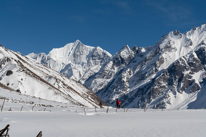 Langtang Valley Trek - Key points to know before booking