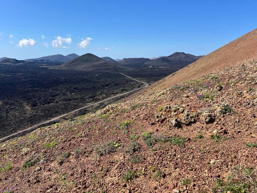 Lanzarote: Guided Hike discover volcano history and culture - Walking into Lanzarote’s volcanic story