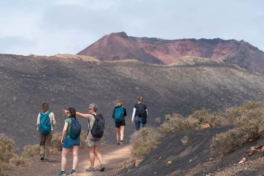 Lanzarote: Guided Hike discover volcano history and culture - Is $56 a fair price?