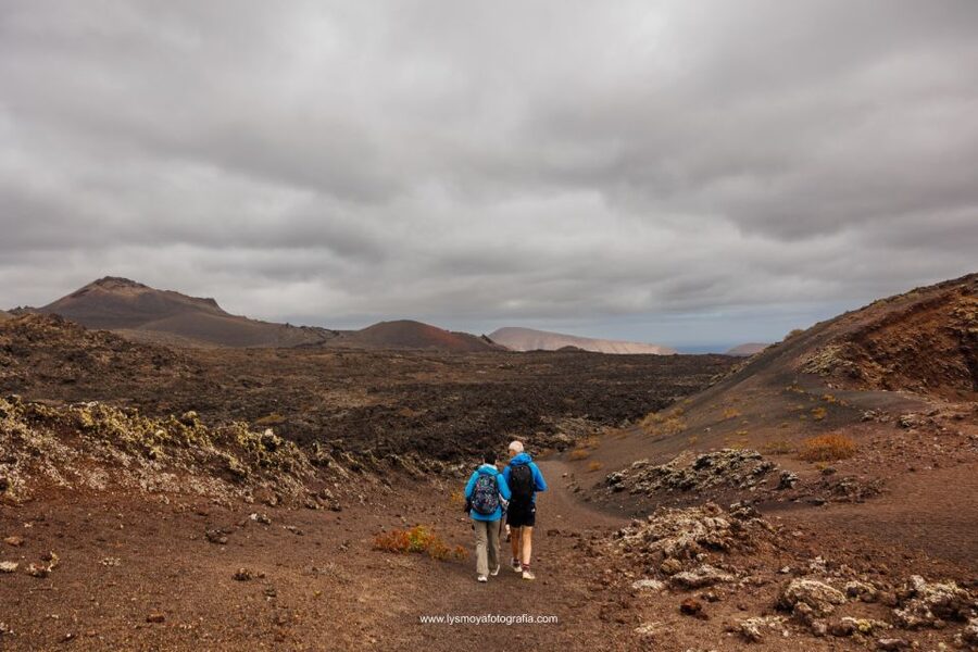 Lanzarote: Hike Across Timanfaya's Volcanic Landscapes - Hotel pickup and the meeting point