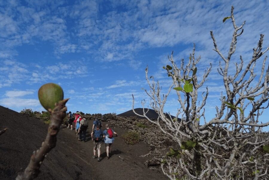 Lanzarote: Hike Across Timanfaya's Volcanic Landscapes - How this compares with a bus-based visit