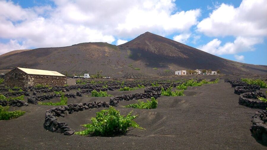 Lanzarote: La Geria Vineyards Hiking Tour - Why La Geria feels like a man-made volcano garden
