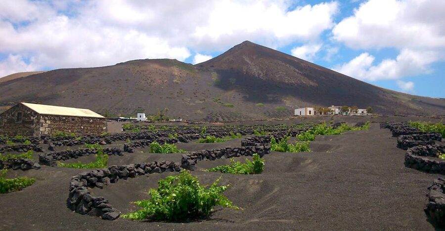 Lanzarote: La Geria Vineyards Hiking Tour - Who should book this hike?