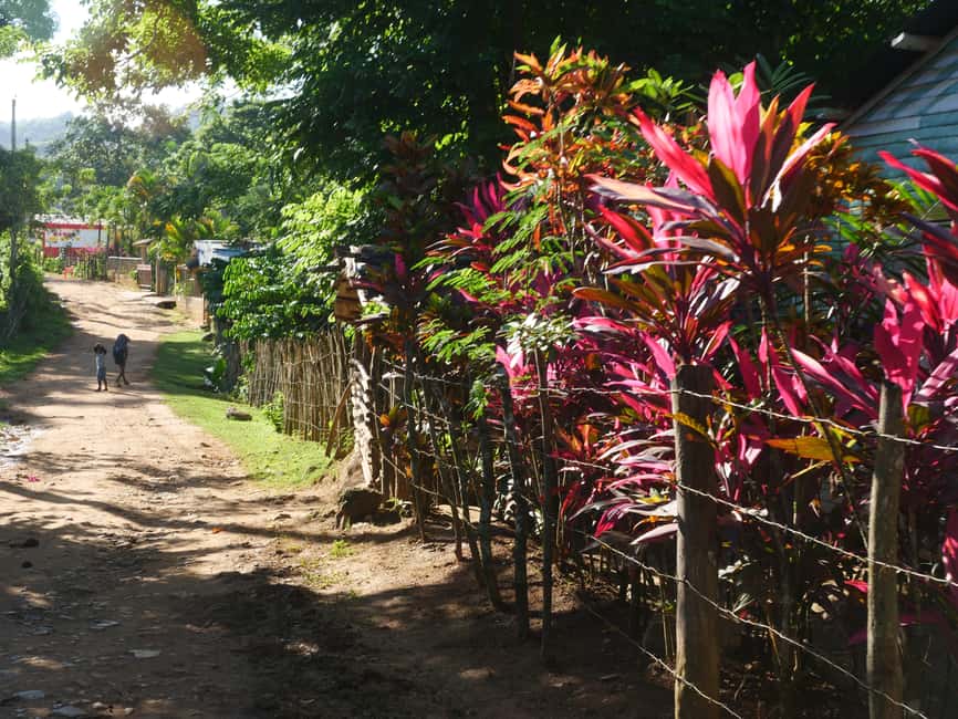 Las Terrenas: El Limón Waterfall Trekking Tour in Samana - The first glimpse of the waterfall