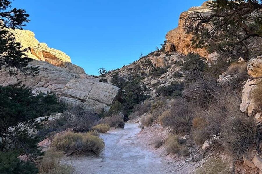 Las Vegas: Red Rock Canyon Guided Hike with Pickup - A guide can make the difference