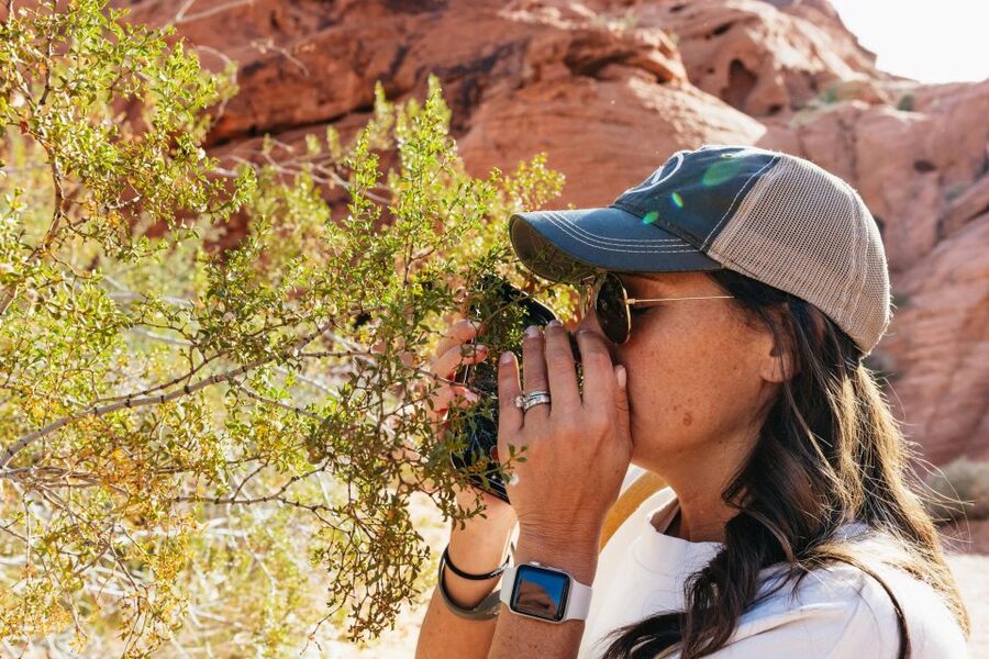 Las Vegas: Valley of Fire Guided Hike with Drinks and Snacks - Petroglyphs, arches, and the details you might miss