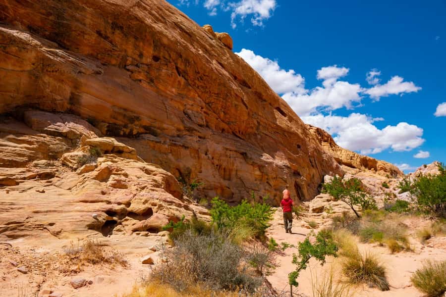 Las Vegas: Valley of Fire Half-Day Guided Hike with Pickup - Rainbow Vista shows the park’s full range of color