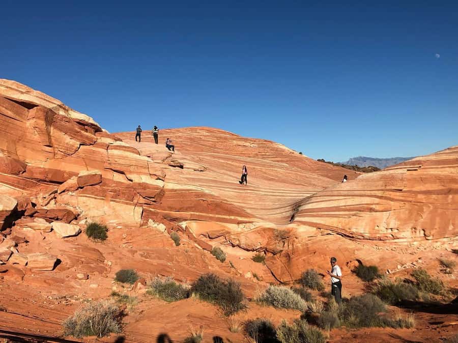 Las Vegas: Valley of Fire Half-Day Guided Hike with Pickup - White Dome brings the best close-up scenery