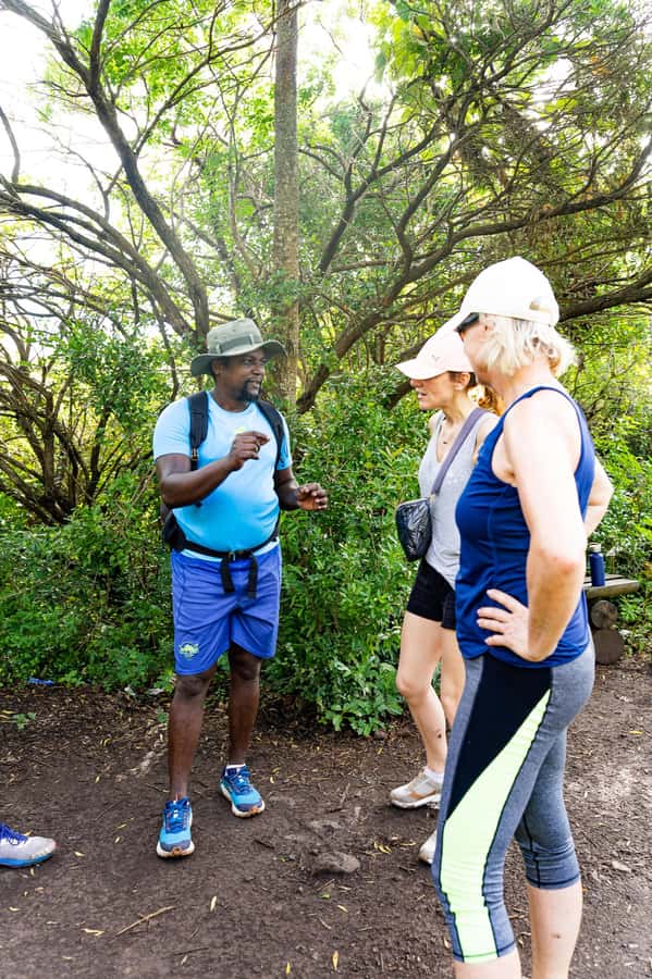 Le Morne Brabant: UNESCO Mountain Hike & Local Guides - The summit reward: lagoon, coast, and a full turn of the head