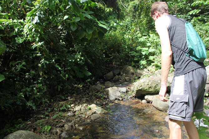 Let's do hiking in Punta Cana - Leaving Punta Cana’s beach behind