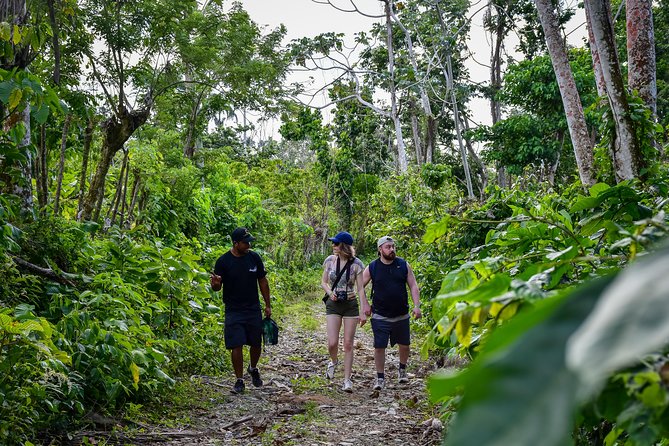 Let's do hiking in Punta Cana - Who should book this hike