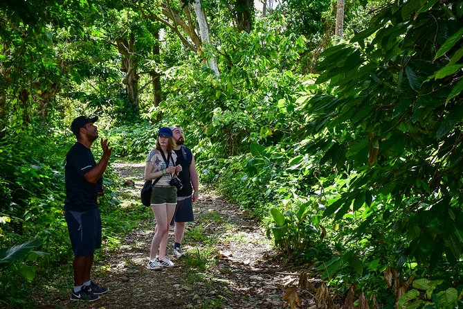 Let's do hiking in Punta Cana - Wilkin’s plant and wildlife lessons