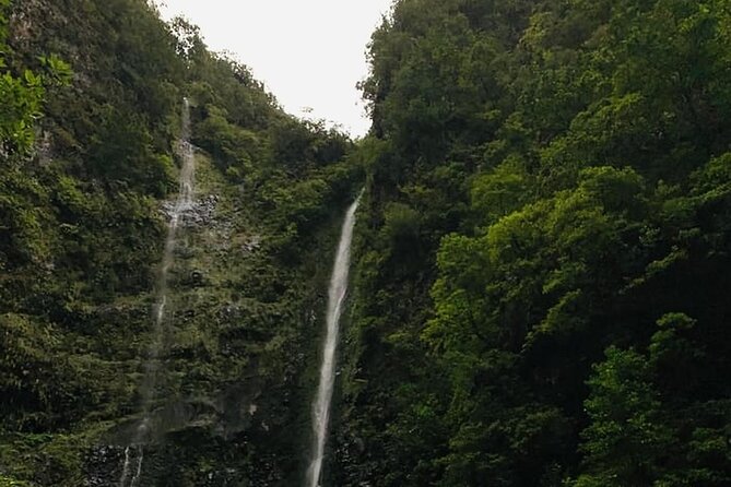 Levada do Caldeirão Verde Self-Guided Hike in Madeira - What the tunnels and narrow ledges are really like