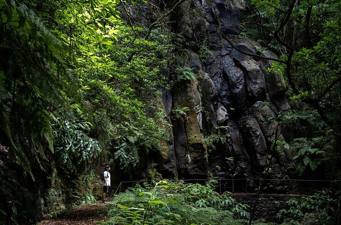 Levada do Caldeirão Verde Self-Guided Hike in Madeira - Why the small group and shuttle matter