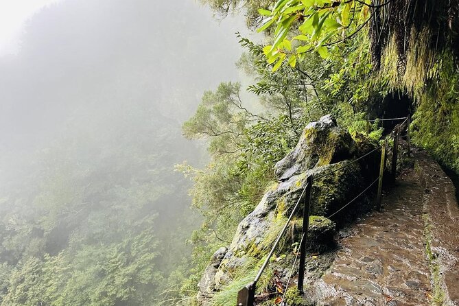 Levada do Caldeirão Verde Self-Guided Hike in Madeira - Price, extra fees, and what you receive