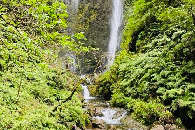 Levada do Caldeirão Verde Self-Guided Hike in Madeira - Who should book this self-guided hike