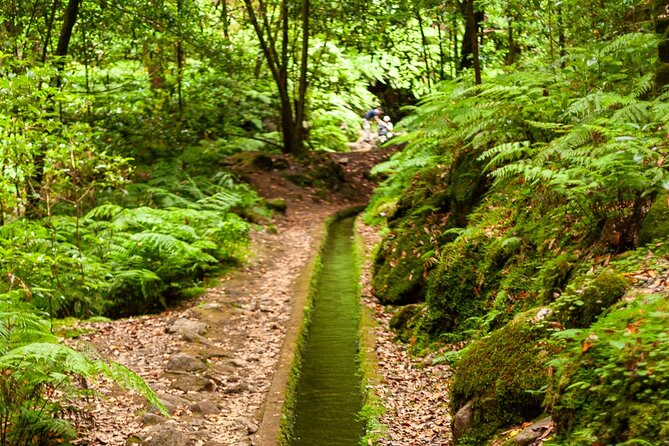 Levada do Rei PR18 Scenic Hike in Madeira with Transfer Service - Why Levada do Rei PR18 is a good Madeira walk