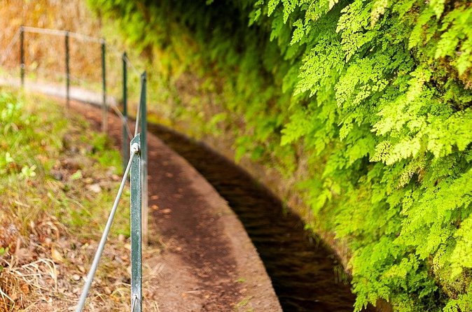 Levada do Rei PR18 Scenic Hike in Madeira with Transfer Service - Who should book this self-guided hike