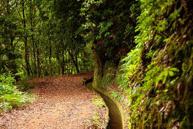 Levada do Rei PR18 Scenic Hike in Madeira with Transfer Service - Booking, weather, and cancellation details