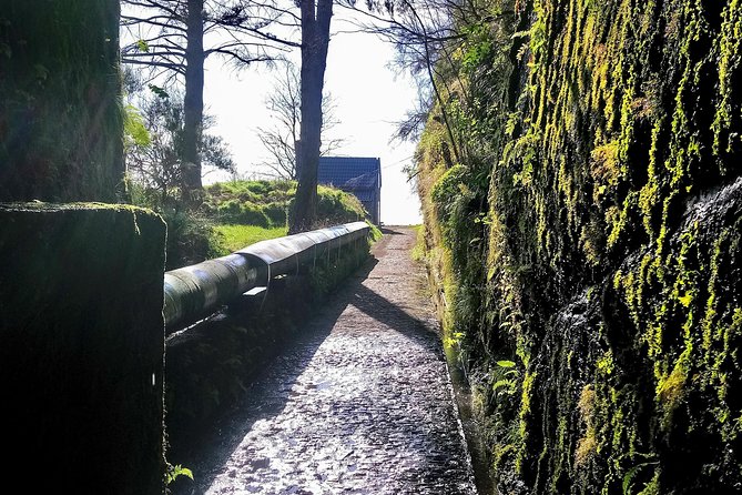 Levada & Waterfalls Hike 25 Fountains, Rabaçal, Risco more Challenging Walk - A guide-led walk instead of a bus tour