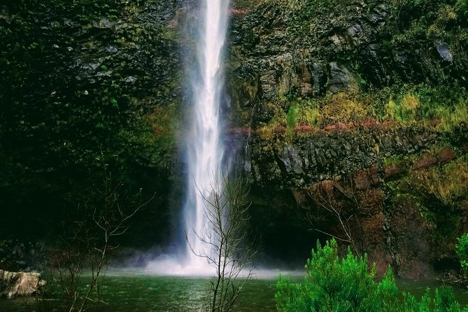 Levada & Waterfalls Hike 25 Fountains, Rabaçal, Risco more Challenging Walk - Who should book this hike