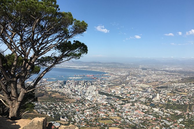 Lion's Head Hike - Private Tour - Snacks, water, and the practical details