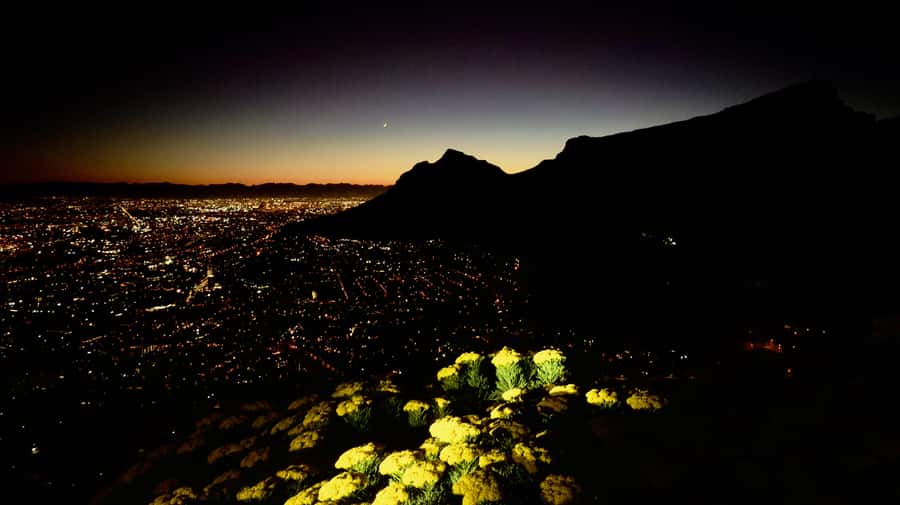 Lion's Head Sunrise or Sunset Hike + Hotel Pick-Up - The 105-minute climb around Lions Head
