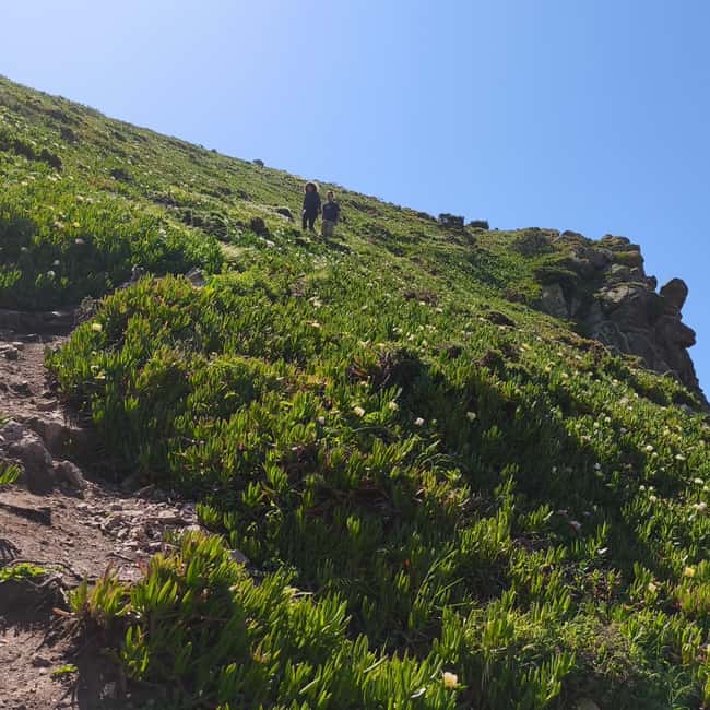 Lisbon: Hike on the Edge of Europe - The descent to Praia da Ursa