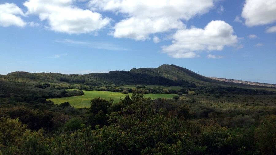 Lisbon: Hiking in Arrábida Natural Park - Key points to know before booking