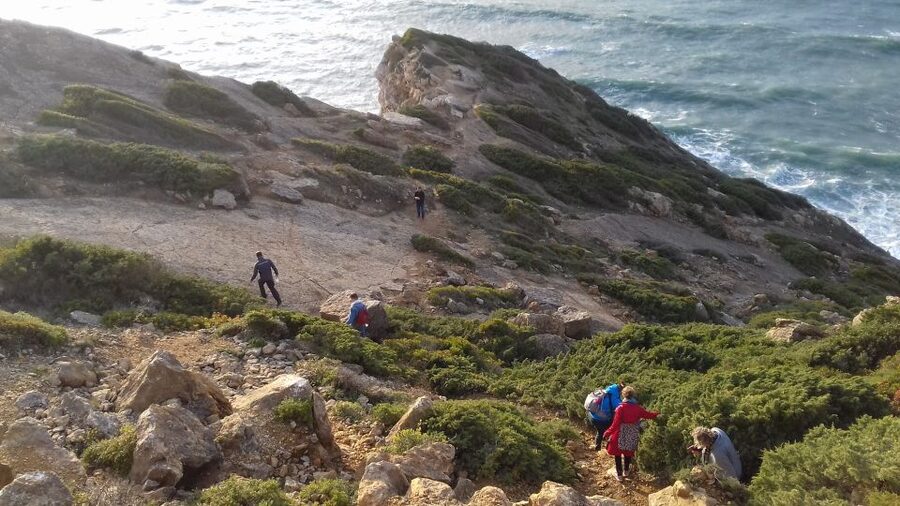 Lisbon: Hiking in Arrábida Natural Park - Local plants, geology, and ancient history