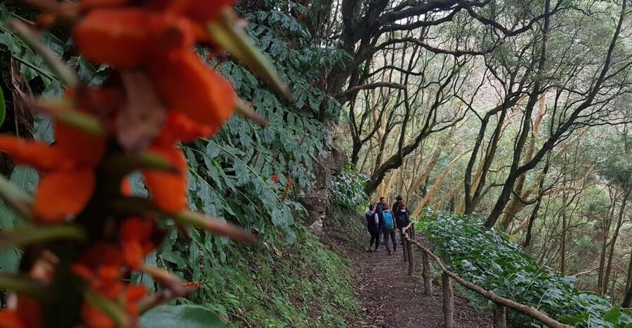 Lomba de São Pedro: Waterfall Hiking Tour with Tea Tasting - Guides, language and group size