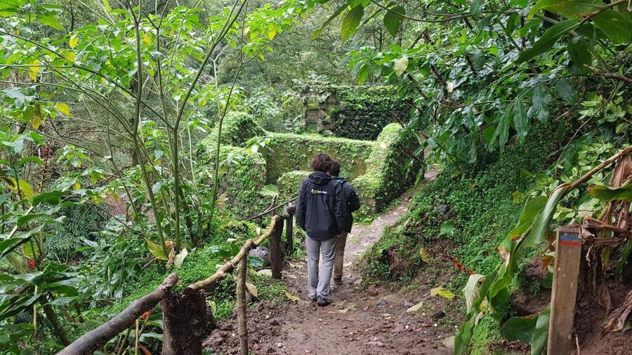 Lomba de São Pedro: Waterfall Hiking Tour with Tea Tasting - The Lomba de São Pedro trail begins steeply