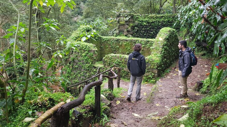 Lomba de São Pedro: Waterfall Hiking Tour with Tea Tasting - Old mills and the Palma da Mão viewpoint